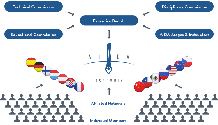 AIDA organisation